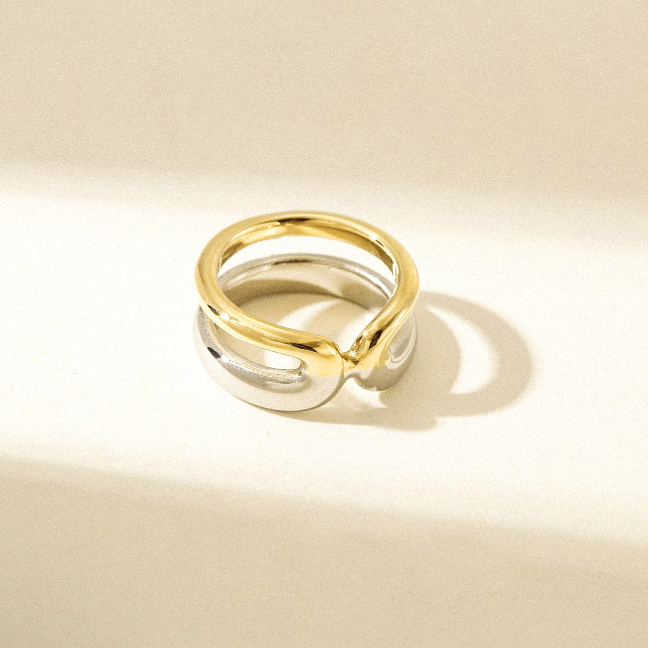 Vana Two Tone Stainless Steel Ring