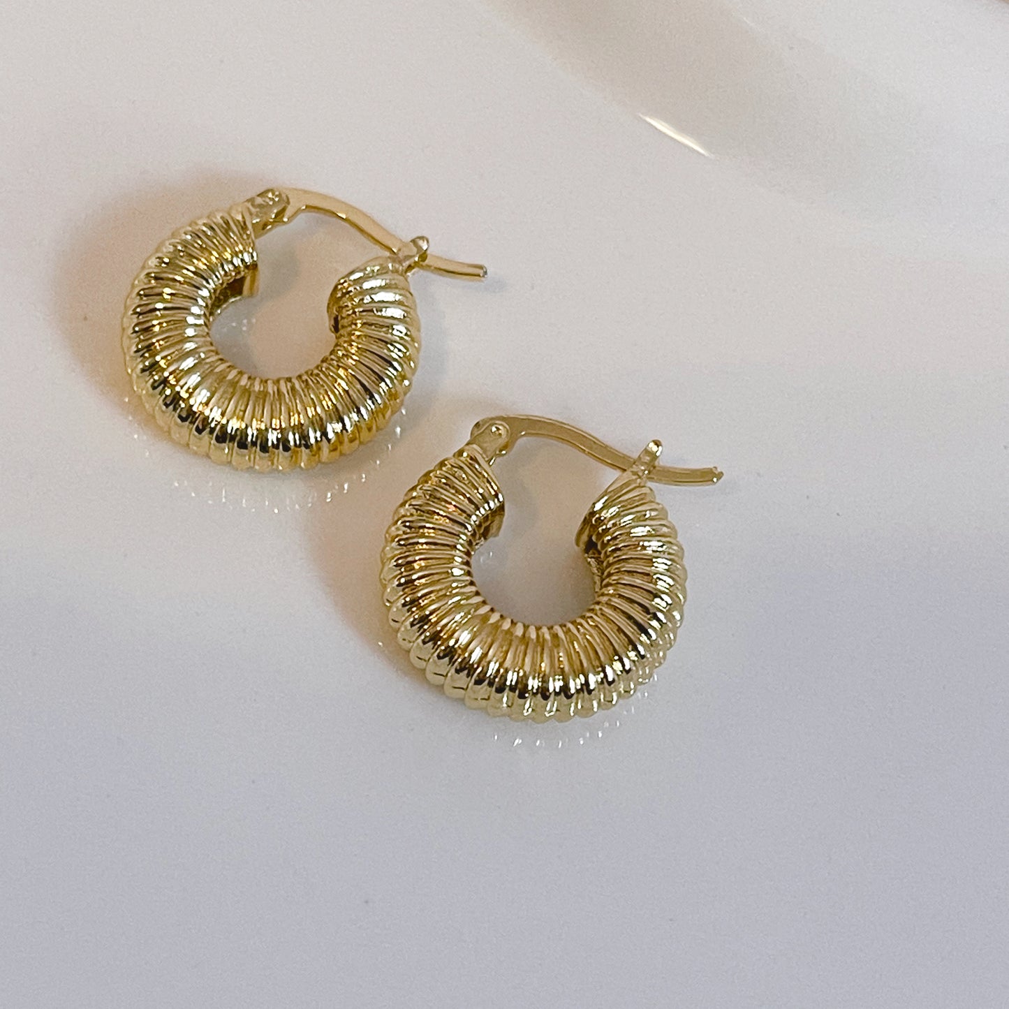 Catalina Hoops
